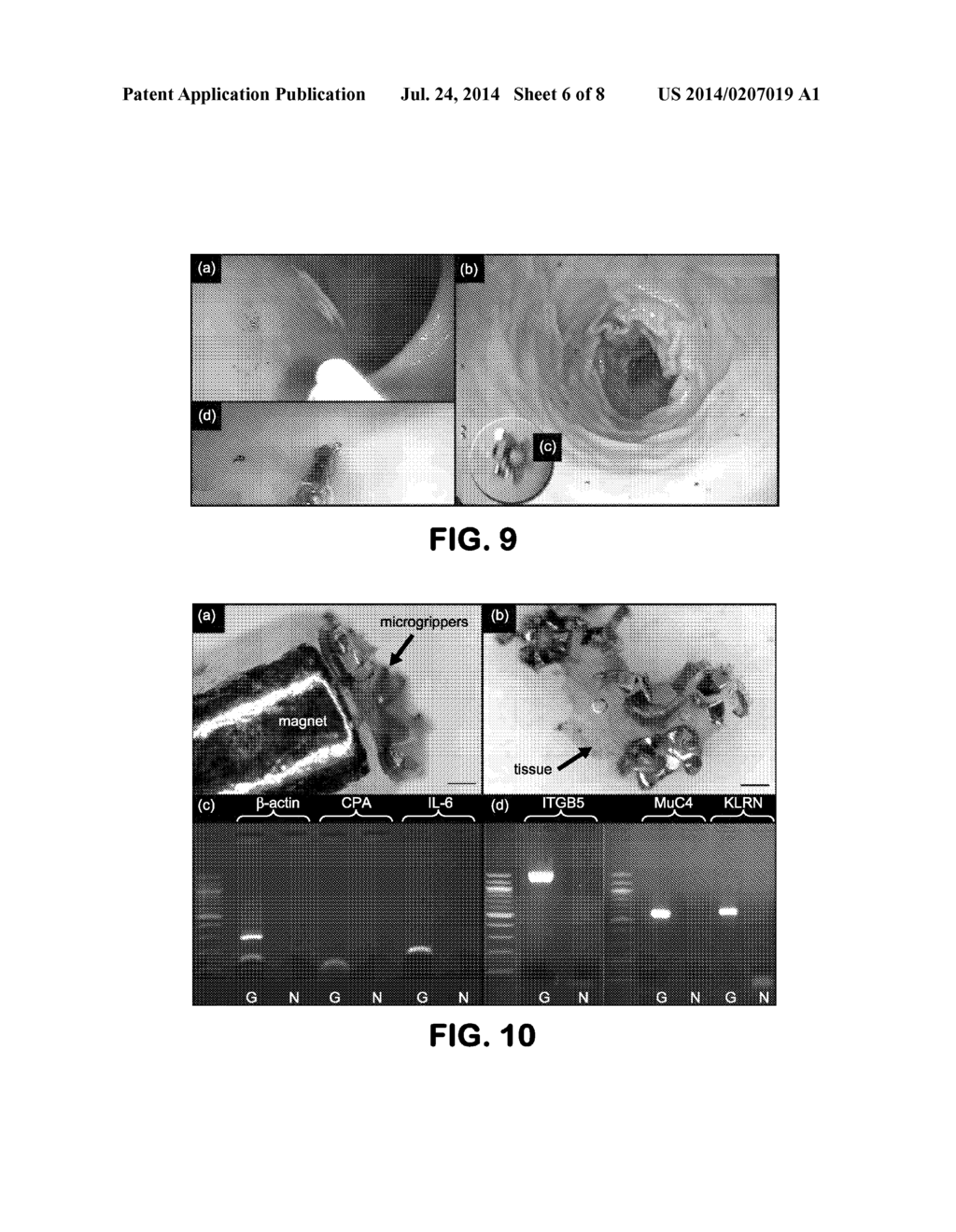 Method and Device for Statistical Tissue Sampling Using Microdevices - diagram, schematic, and image 07