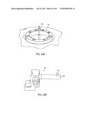 Sealing Device and Delivery System diagram and image