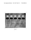 TRANSPARENT INORGANIC-ORGANIC HYBRID MATERIALS VIA AQUEOUS SOL-GEL     PROCESSING diagram and image