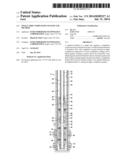 SINGLE TRIP COMPLETION SYSTEM AND METHOD diagram and image