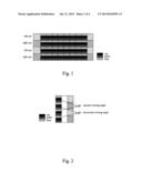 Pixel Arrangement Method That Reduces Color Shift Of Pattern Retarder     Glasses Based 3D Display System In Large View Angle and Display Panel     Using Same diagram and image