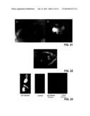 Multi-Vinylsulfone Containing Molecule diagram and image