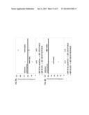 ANTI THIRD PARTY CENTRAL MEMORY T CELLS, METHODS OF PRODUCING SAME AND USE     OF SAME IN TRANSPLANTATION AND DISEASE TREATMENT diagram and image