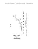 ANTI THIRD PARTY CENTRAL MEMORY T CELLS, METHODS OF PRODUCING SAME AND USE     OF SAME IN TRANSPLANTATION AND DISEASE TREATMENT diagram and image