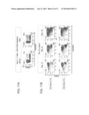 ANTI THIRD PARTY CENTRAL MEMORY T CELLS, METHODS OF PRODUCING SAME AND USE     OF SAME IN TRANSPLANTATION AND DISEASE TREATMENT diagram and image