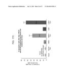 ANTI THIRD PARTY CENTRAL MEMORY T CELLS, METHODS OF PRODUCING SAME AND USE     OF SAME IN TRANSPLANTATION AND DISEASE TREATMENT diagram and image