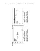 ANTI THIRD PARTY CENTRAL MEMORY T CELLS, METHODS OF PRODUCING SAME AND USE     OF SAME IN TRANSPLANTATION AND DISEASE TREATMENT diagram and image