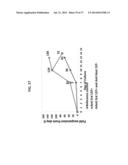 ANTI THIRD PARTY CENTRAL MEMORY T CELLS, METHODS OF PRODUCING SAME AND USE     OF SAME IN TRANSPLANTATION AND DISEASE TREATMENT diagram and image