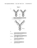 BLOOD-BRAIN BARRIER PENETRATING DUAL SPECIFIC BINDING PROTEINS diagram and image