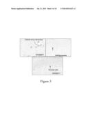 BLOOD-BRAIN BARRIER PENETRATING DUAL SPECIFIC BINDING PROTEINS diagram and image