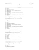 CONJUGATE COMPRISING OXYNTOMODULIN AND AN IMMUNOGLOBULIN FRAGMENT, AND USE     THEREOF diagram and image