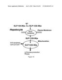 Methods of Treatment Using A Pentapeptide Derived From The C-Terminus Of     Glucagon-Like Peptide 1 (GLP-1) diagram and image