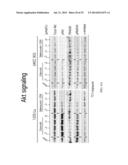 ANTI-CANCER COMPOSITIONS AND METHODS diagram and image