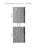 SOLDERING DEVICE, SOLDERING METHOD, AND SUBSTRATE AND ELECTRONIC COMPONENT     PRODUCED BY THE SOLDERING DEVICE OR THE SOLDERING METHOD diagram and image