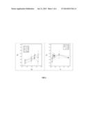 BLOCK COPOLYMER BATTERY SEPARATOR diagram and image