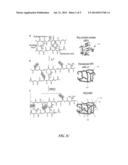 FLEXIBLE SOLID STATE CONDUCTORS INCLUDING POLYMER MIXED WITH PROTEIN diagram and image