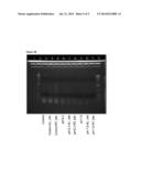 ENDOGENOUS DNASE ACTIVITY TO REDUCE DNA CONTENT diagram and image