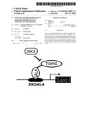 SCREENING METHOD FOR THERAPEUTIC AGENT FOR CHONDROPATHY AND MODIFIED     CHONDROCYTE FOR TREATMENT OF CHONDROPATHY diagram and image