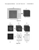 METHODS, APPARATUSES, AND SYSTEMS FOR DETECTING AND QUANTIFYING     PHOSPHOPROTEINS diagram and image