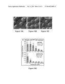 METHODS, APPARATUSES, AND SYSTEMS FOR DETECTING AND QUANTIFYING     PHOSPHOPROTEINS diagram and image