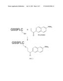 Fluorescence Assay For Ghrelin O-Acyltransferase Activity diagram and image