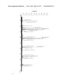 COMPOSITIONS COMPRISING CELLOBIOSE DEHYDROGENASE FROM PYCNOPORUS     CINNABARINUS AND THEIR USE FOR THE DEGRADATION OF LIGNOCELLULOSIC BIOMASS diagram and image