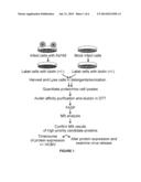 METHOD TO INCREASE THE INFECTIVITY OF VIRUS PARTICLES diagram and image