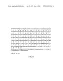 Nucleic Acids, Polypetides, and Methods for Modulating Apoptosis diagram and image