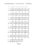 Nucleic Acids, Polypetides, and Methods for Modulating Apoptosis diagram and image