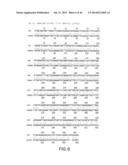 Nucleic Acids, Polypetides, and Methods for Modulating Apoptosis diagram and image