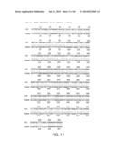 Nucleic Acids, Polypetides, and Methods for Modulating Apoptosis diagram and image