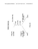 Nucleic Acids, Polypetides, and Methods for Modulating Apoptosis diagram and image