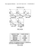 Nucleic Acids, Polypetides, and Methods for Modulating Apoptosis diagram and image