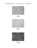 CELL CULTURE MEMBRANE, CELL CULTURE SUBSTRATE, AND METHOD FOR     MANUFACTURING CELL CULTURE SUBSTRATE diagram and image