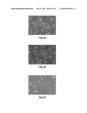 CELL CULTURE MEMBRANE, CELL CULTURE SUBSTRATE, AND METHOD FOR     MANUFACTURING CELL CULTURE SUBSTRATE diagram and image