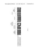 Recombinant microorganisms comprising NADPH dependent enzymes and methods     of production therefor diagram and image