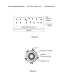 DETECTION ASSAYS EMPLOYING MAGNETIC NANOPARTICLES diagram and image