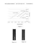 DETECTION ASSAYS EMPLOYING MAGNETIC NANOPARTICLES diagram and image