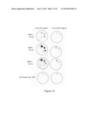 DETECTION ASSAYS EMPLOYING MAGNETIC NANOPARTICLES diagram and image