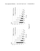 DETECTION ASSAYS EMPLOYING MAGNETIC NANOPARTICLES diagram and image