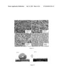 FAST RESPONSE NANOFIBER ARTICLES WITH TUNABLE WETTABILITY AND BULK     PROPERTIES diagram and image