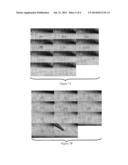 FAST RESPONSE NANOFIBER ARTICLES WITH TUNABLE WETTABILITY AND BULK     PROPERTIES diagram and image