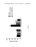 Method of Treating or Ameliorating Type 1 Diabetes Using FGF21 diagram and image