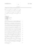 Method of Treating or Ameliorating Type 1 Diabetes Using FGF21 diagram and image