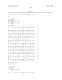 Method of Treating or Ameliorating Type 1 Diabetes Using FGF21 diagram and image