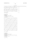 Method of Treating or Ameliorating Type 1 Diabetes Using FGF21 diagram and image