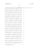 Method of Treating or Ameliorating Type 1 Diabetes Using FGF21 diagram and image