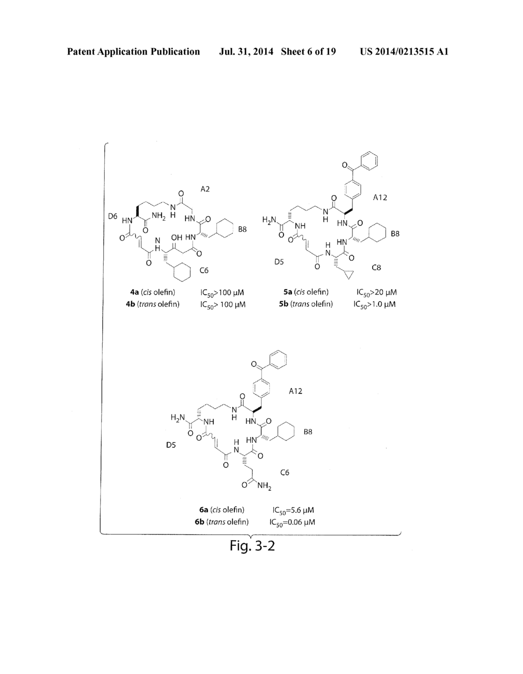 MACROCYCLIC INSULIN-DEGRADING ENZYME (IDE) INHIBITORS AND USES THEREOF - diagram, schematic, and image 07