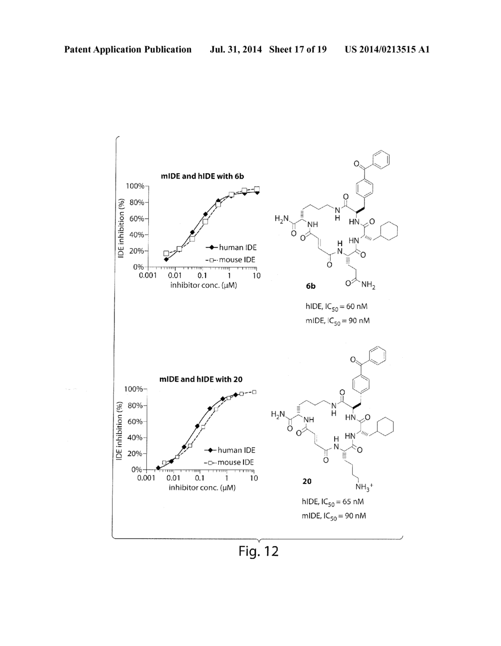 MACROCYCLIC INSULIN-DEGRADING ENZYME (IDE) INHIBITORS AND USES THEREOF - diagram, schematic, and image 18