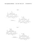 COMPOSITIONS AND METHODS FOR ENHANCING DRUG DELIVERY ACROSS AND INTO     EPITHELIAL TISSUES diagram and image